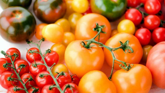 ခရမ်းချဉ်သီး