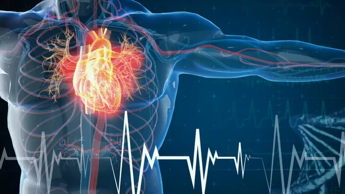 thrombosis ကာကွယ်တားဆီးရေး